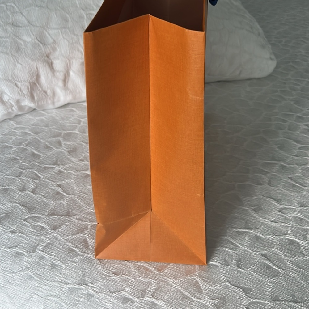 LOUIS VUITTON  Gift Bag - Picture 4 of 6